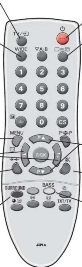 SANYO 42LM5WPTC - Surround mode selector - 1