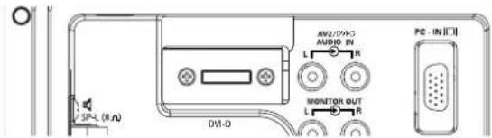 SANYO 42LM5WPTC - DVI-D (Digital Video Interface) - 1