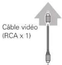 SANYO PLVZ700 - Video, S-video - 2