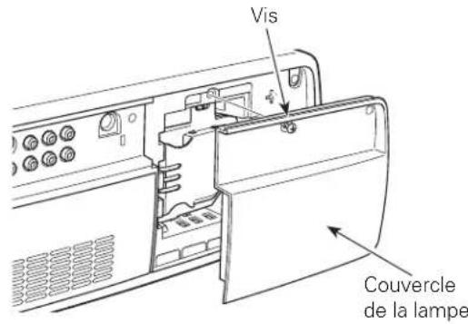 SANYO PLVZ700 - ATTENTION - 1