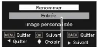 SANYO PLVZ700 - Renommer - 4