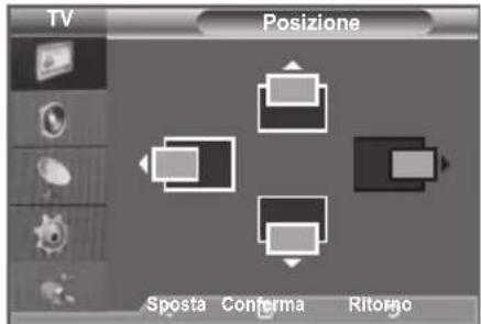 SAMSUNG LE46B550A5WXXN - Posizione - 1