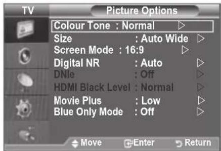 SAMSUNG LE46B550A5WXXN - Configuring Picture Option - 2