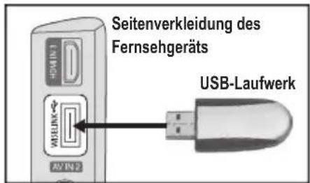 SAMSUNG LE46B550A5WXXN - Verwenden der WISELINK-Funktion - 1