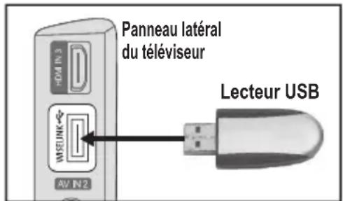 SAMSUNG LE46B550A5WXXN - Utilisation de la fonction WISELINK - 1