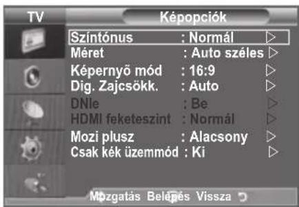 SAMSUNG LE46B550A5WXXN - A képopció beállítása - 2