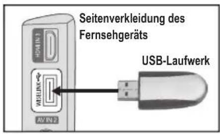 SAMSUNG LE46B550A5WQU - Verwenden der WISELINK-Funktion - 1