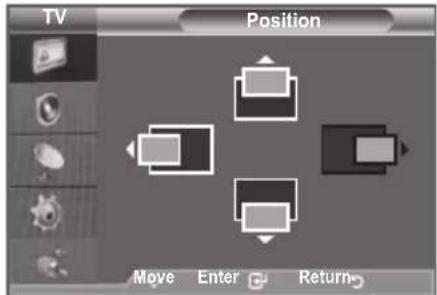 SAMSUNG LE46B550A5WQU - Image Reset - 5