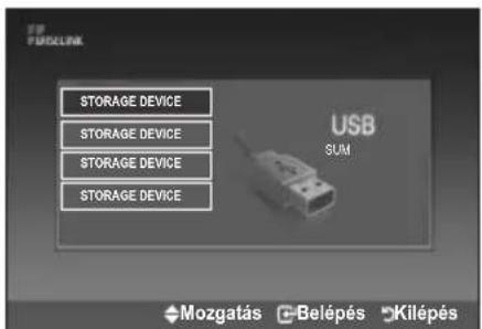 SAMSUNG LE46B550A5WQU - A WISELINK menu használata - 2