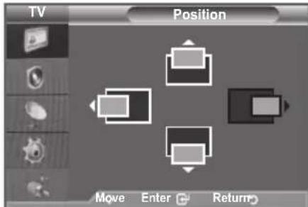 SAMSUNG LE46B550A5WQU - Position - 2