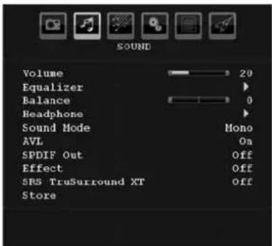 SALORA LCD 3231 DVX - Reset - 1