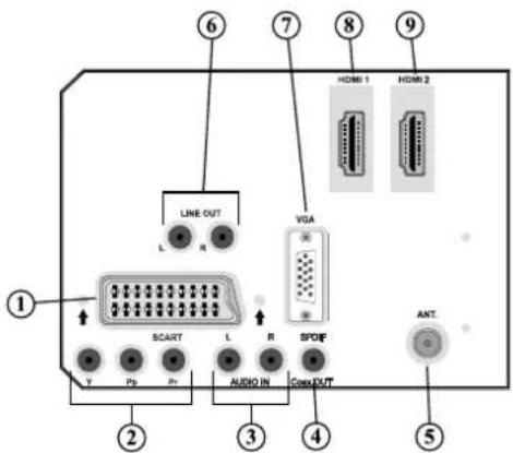 SALORA LCD 3231 DVX - Viewing the Connections- Back Connectors - 1