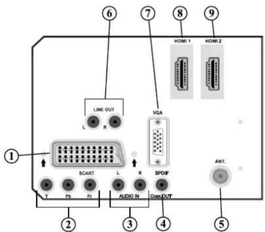 SALORA LCD 3231 DVX - Affi chage des branchements – connecteurs arrière - 1