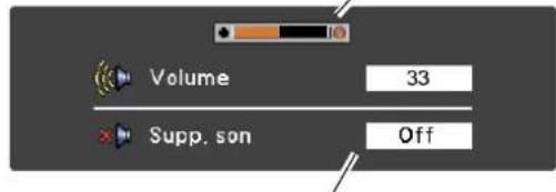 SANYO PLCXU301A - Supp. son - 3