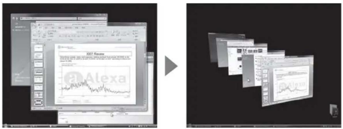 SILVERSTONE RVM01 - Windows Vista - 1