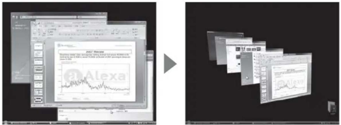 SILVERSTONE RVM01 - In Windows Vista Environment - 1