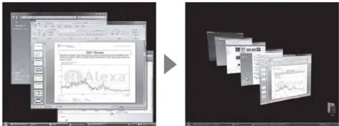 SILVERSTONE RVM01 - En entornos Windows Vista - 1