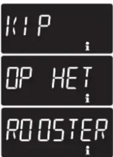 KIP i OP HET i ROOSTER i