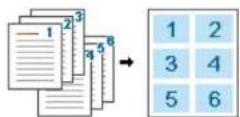 SAMSUNG SCX8030ND - Copie pages multiples - 23