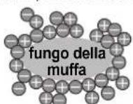 SHARP SJPD591SS - "Plasmacluster" - 1