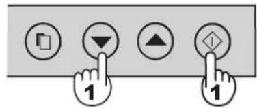 SHARP SJRM320TSL - Hxos ENEPTO/ANENEPTO - 1