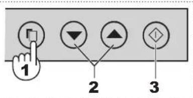 SHARP SJRM320TSL - Eaeyxoc 0epoekpaoia - 1