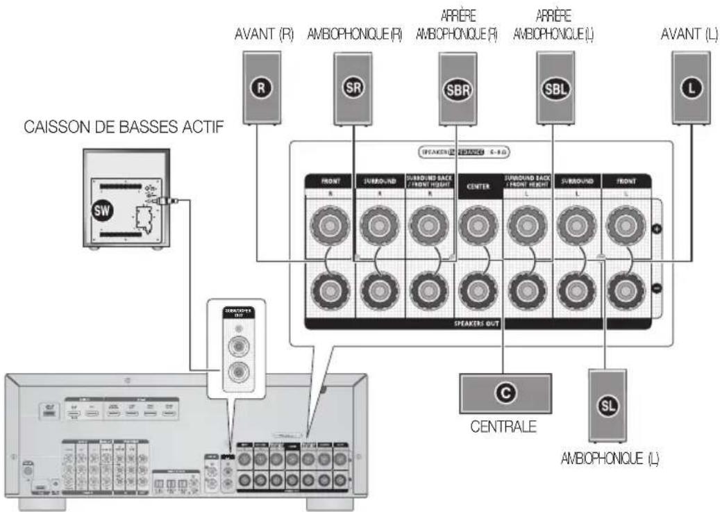 SAMSUNG HWD700 - Connexion du cable de I'enceinte - 2