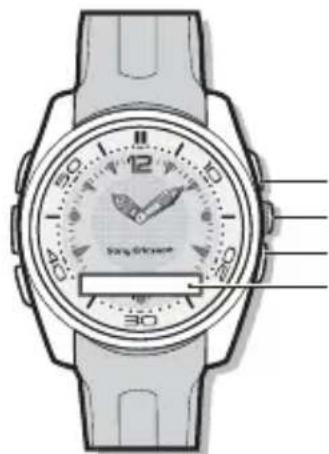 SONY MBW150 Classic Edition - Vue d'ensemble de la montre - 1