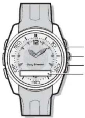 SONY MBW150 Classic Edition - Panorama dell'orologio - 1