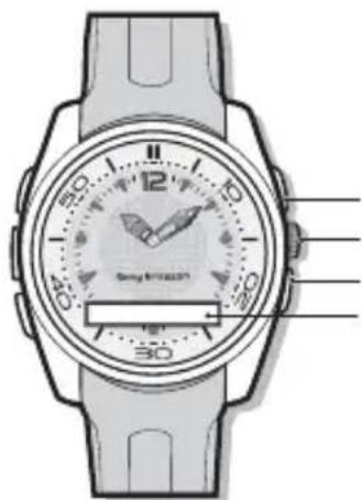 SONY MBW150 Classic Edition - A karóra áttekintése - 1