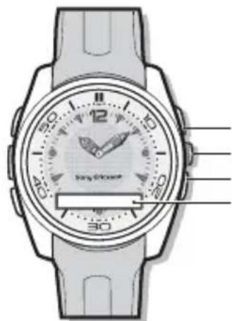 SONY MBW150 Classic Edition - Oversigt over uret - 1