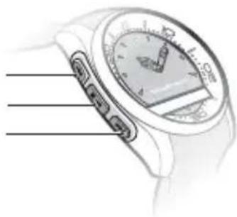 SONY MBW150 Classic Edition - Rannekellon yleiskuvaus - 2