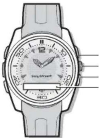 SONY MBW150 Classic Edition - Prehled hodinek - 1