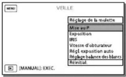 SONY Handycam HDRPJ740VEB - Options pouvant être commandées par la molette MANUAL - 1