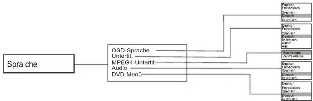SEG DP 1140HDMI - OSD-EINSTELLUNG - 2