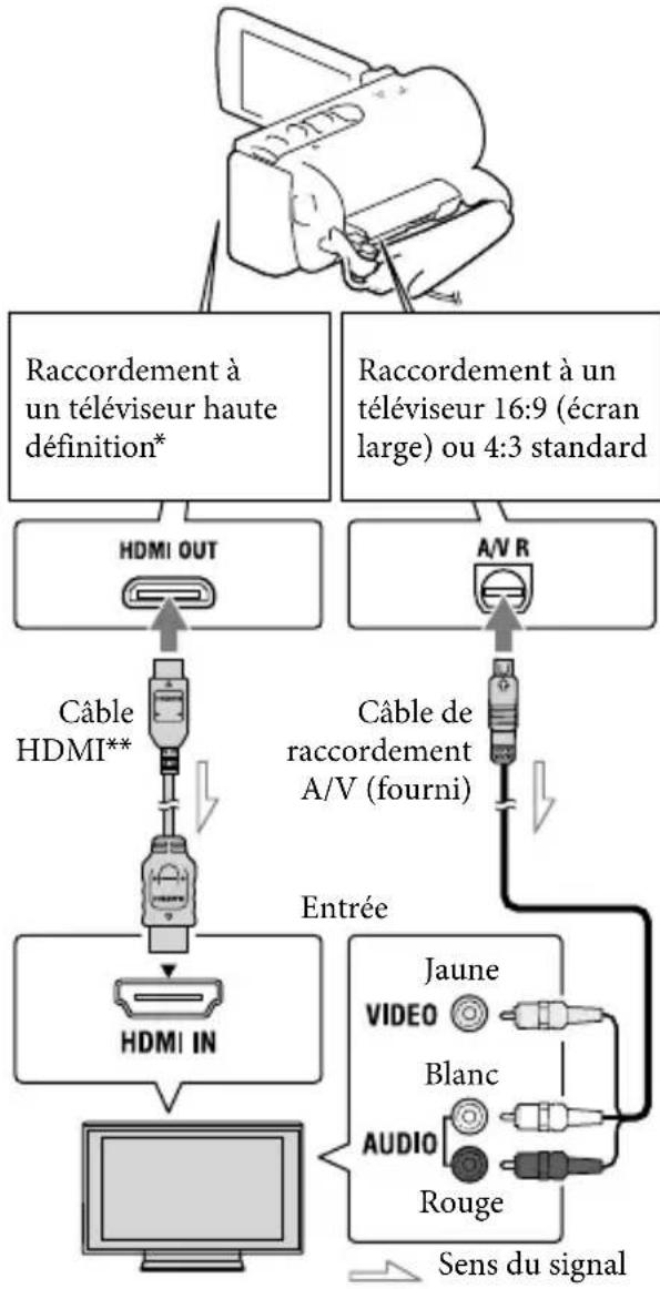 SONY Handycam HDRCX190EB - Lecture d'images sur un téléviseur - 1