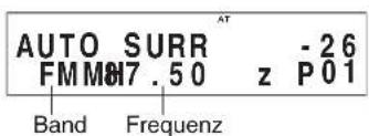 SHERWOOD RD606i - Automatische Sendersuche - 2