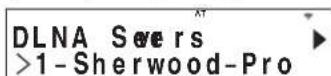SHERWOOD RD606i - PpBb6ope "DLNA" - 3