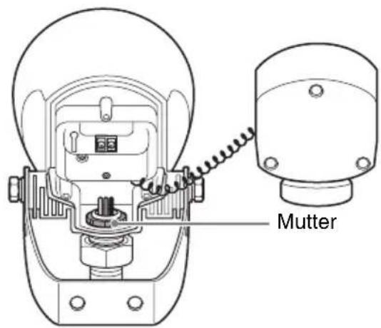 Mutter