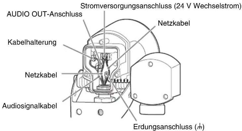 Stromversorgungsanschluss (24 V Wechselstrom) AUDIO OUT-Anschluss Netzkabel Kabelhalterung Netzkabel Audiosignalkabel Erdungsanschluss (ħ)