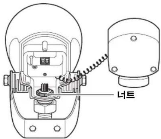 너트