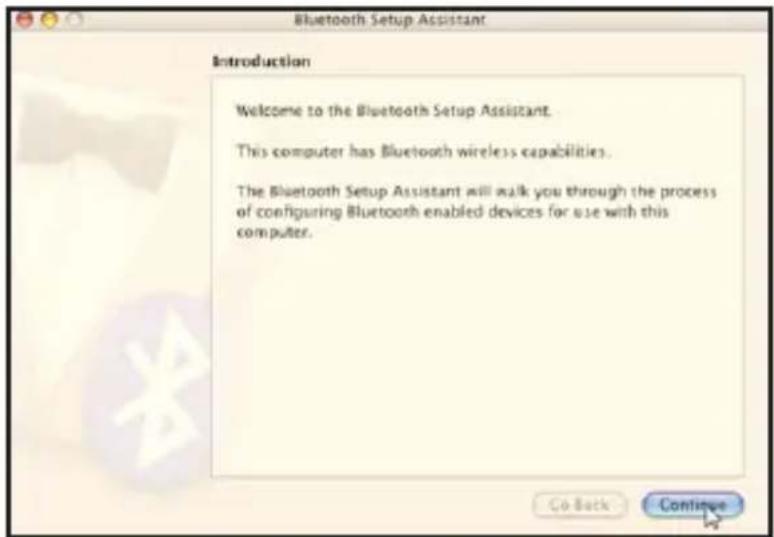 Bluetooth Setup Assistant Introduction Welcome to the Bluetooth Setup Assistant. This computer has Bluetooth wireless capabilities. The Bluetooth Setup Assistant will walk you through the process of configuring Bluetooth enabled devices for use with this computer.