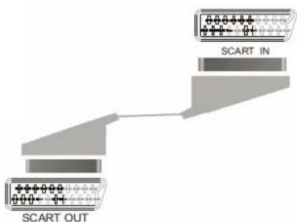 SEG MS 1131DVD - Collegamento all'amplificatore/televisione - 2