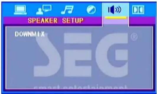 SEG MS 1131DVD - DVD Operation - 2