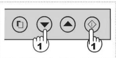 SHARP SJWS320TBK - A muvelet elinditásához - 2