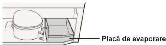 SHARP SJWS320TBK - Inainte de a folosi frigiderul - 1