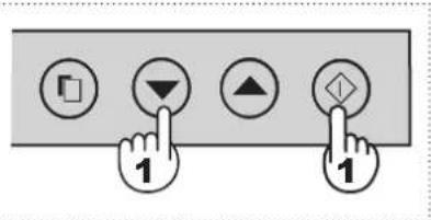 SHARP SJWS320TBK - Hxos ENEPTO/ANENEPTO - 1