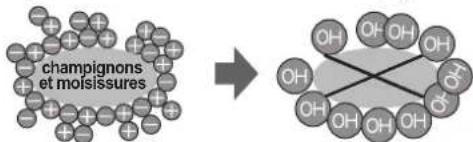 SHARP SJWS320TBK - Ioniseur "plasmacluster - 1