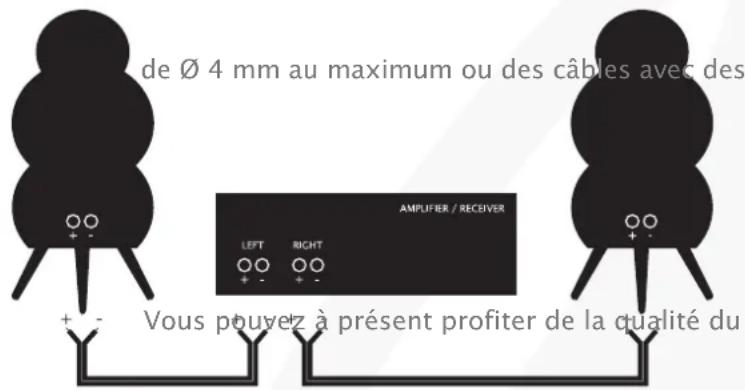 SCANDYNA SmallPod - FRANÇAIS / Connexion de vos enceintes - 1