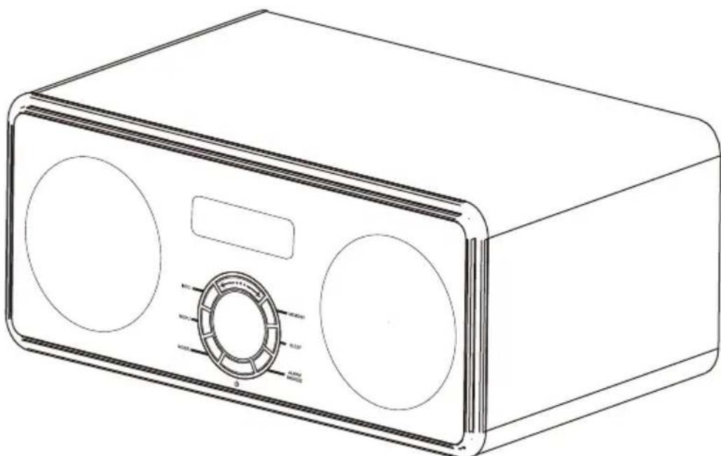 SCANSONIC DA300 - SAFETY PRECAUTIONS - 1